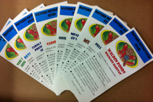 Brochures