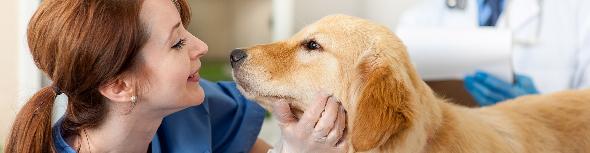 veterinarian with a dog